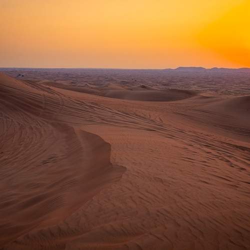 Photo #13032513