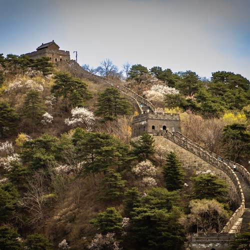 Photo #13032526