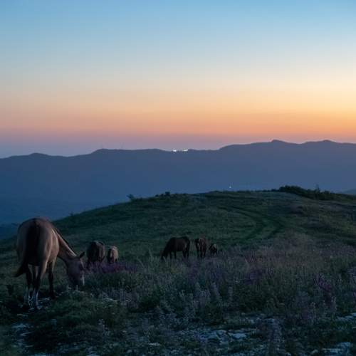 Фотография #13032624