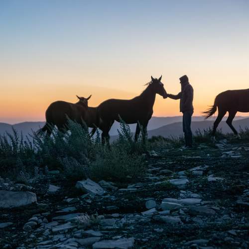 Фотография #13032625