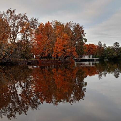 Photo #13032638