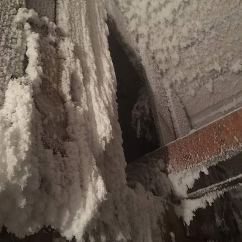 Photo #13032710