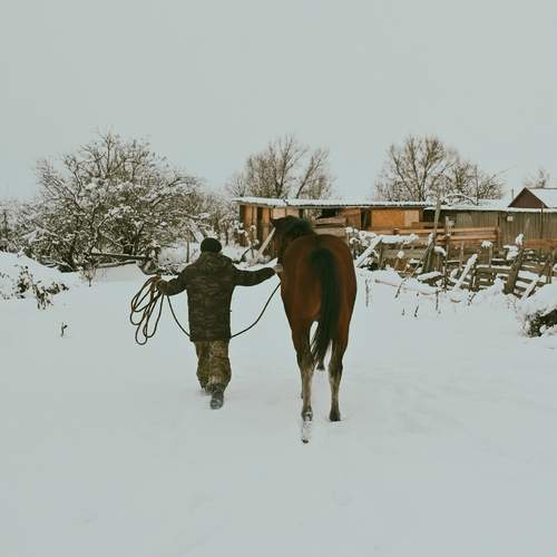 Photo #13032739