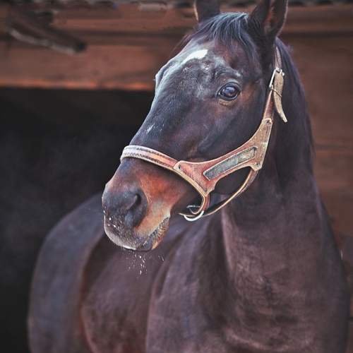 Photo #13032740