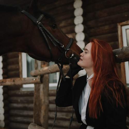 Photo #13032781