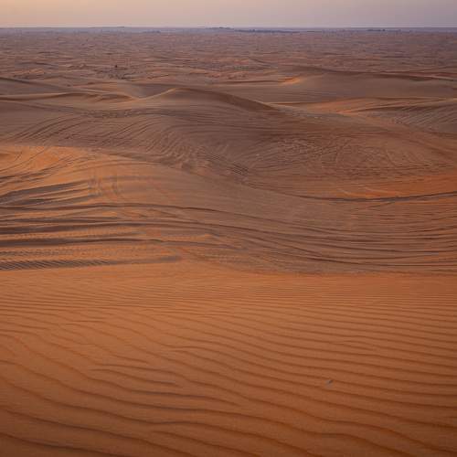 Photo #13032782