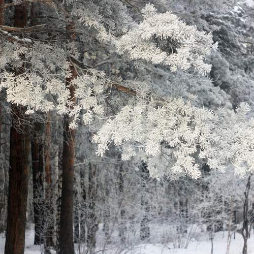 Photo #13032839