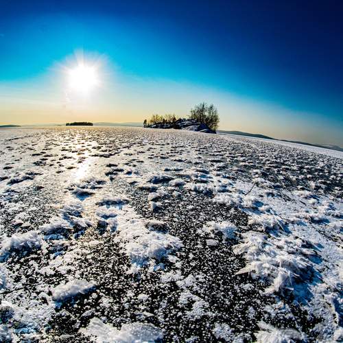 Photo #13032855