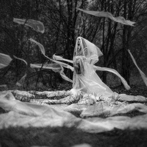 Photo #13032951