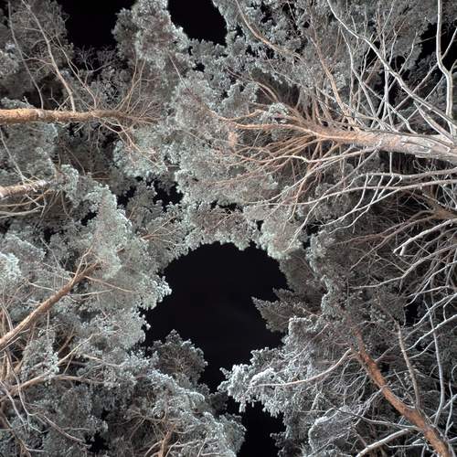 Photo #13032987