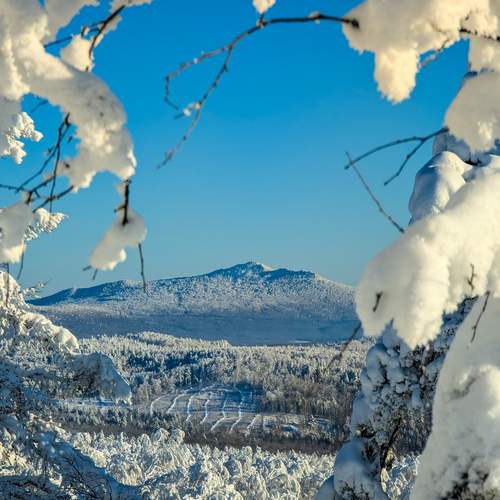 Photo #13033194