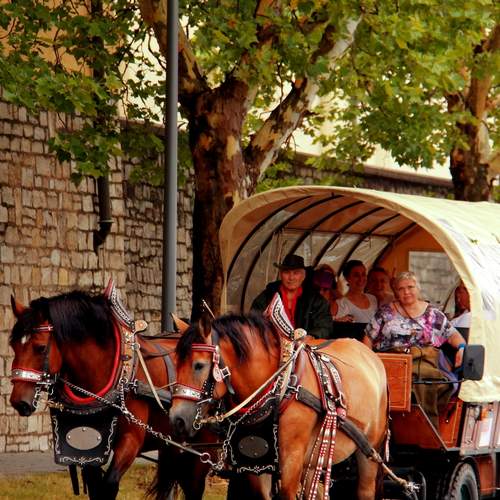 Photo #13033216