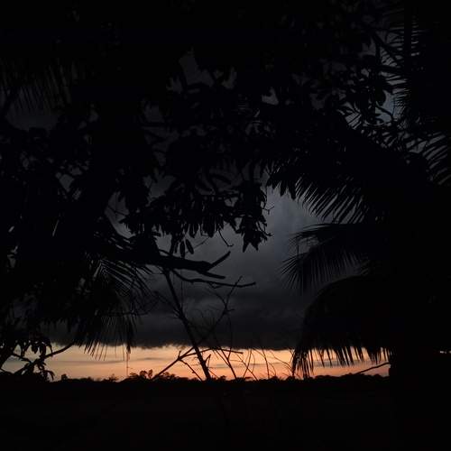 The Last Light