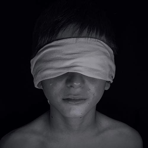 Photo #13033496