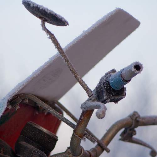 Photo #13033515