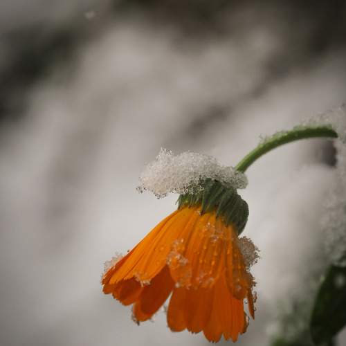 Photo #13033544