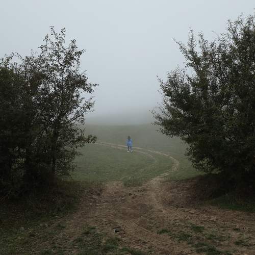 Photo #13033561