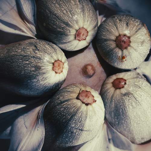 Photo #13033603