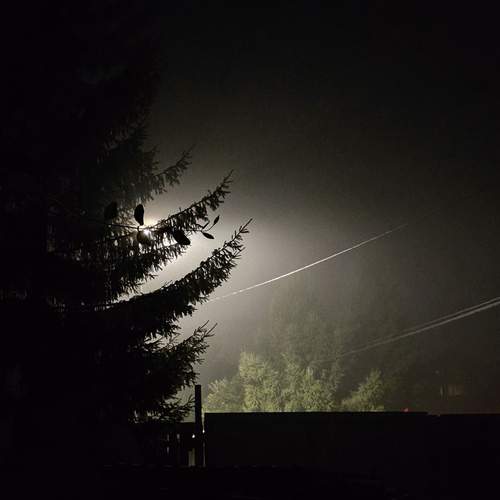 Photo #13033733