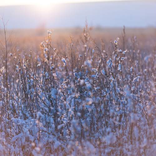 Photo #13033811