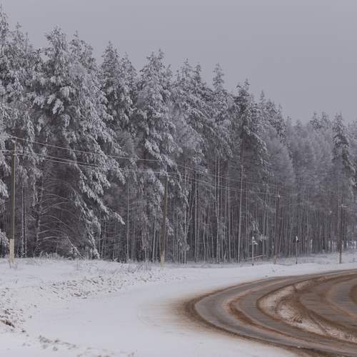 Photo #13033826