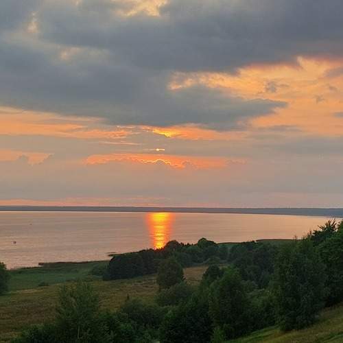 Photo #13033983