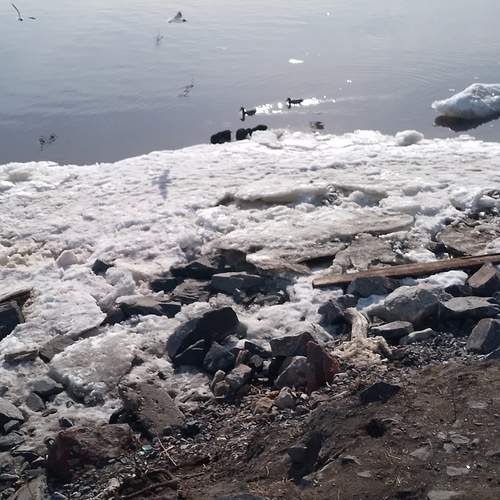 Photo #13034146