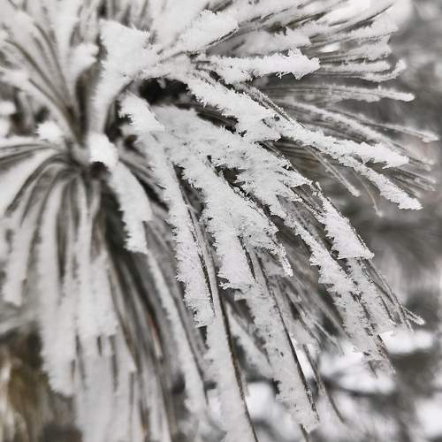 Photo #13034216