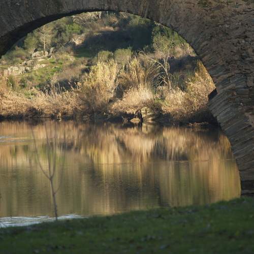 Photo #13034332