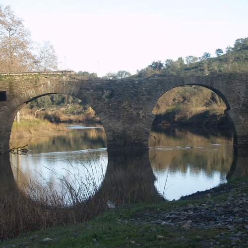Photo #13034333
