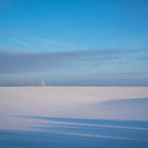 Photo #13034345