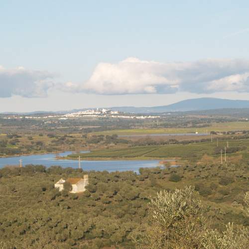 Photo #13034359