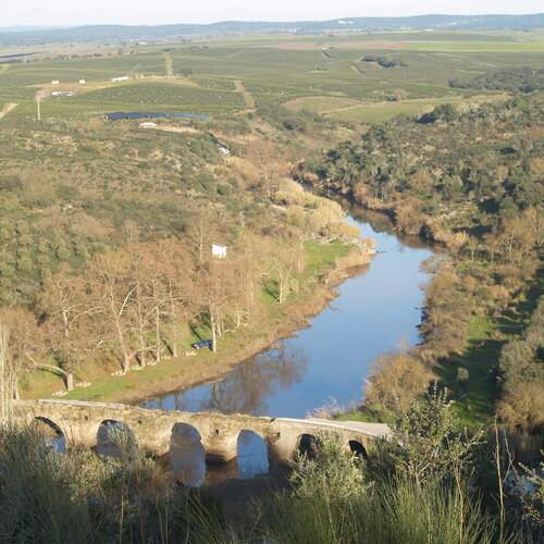 Photo #13034360