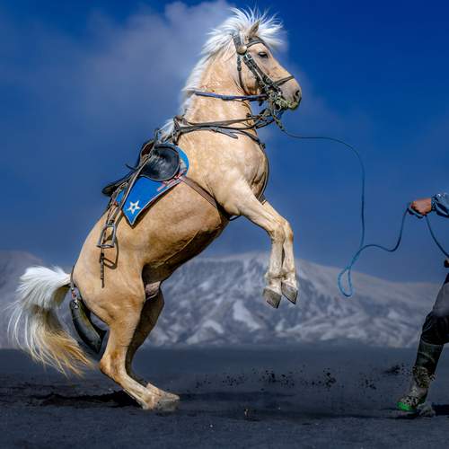 Fury on the Sea of Sand