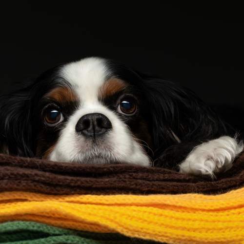 Photo #13034376