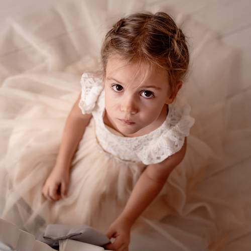Photo #13034473