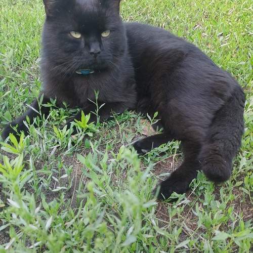 Photo #13034567