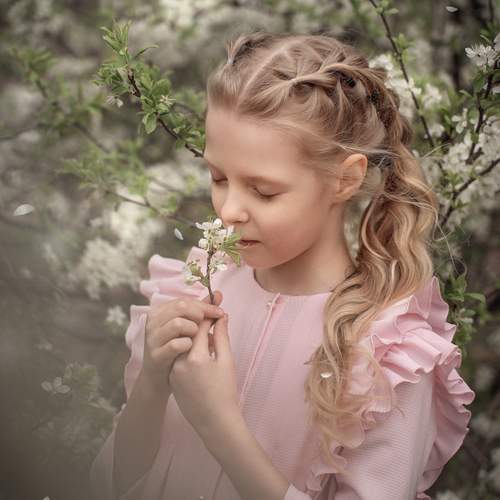 Photo #13034569
