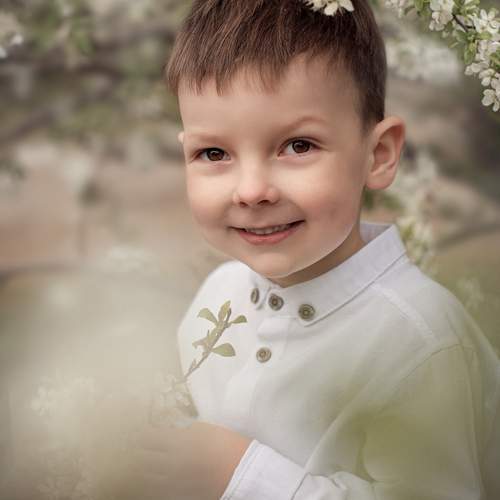 Photo #13034582