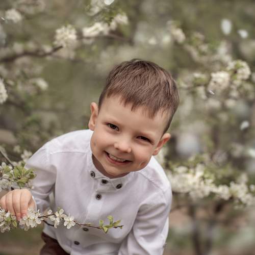 Photo #13034587