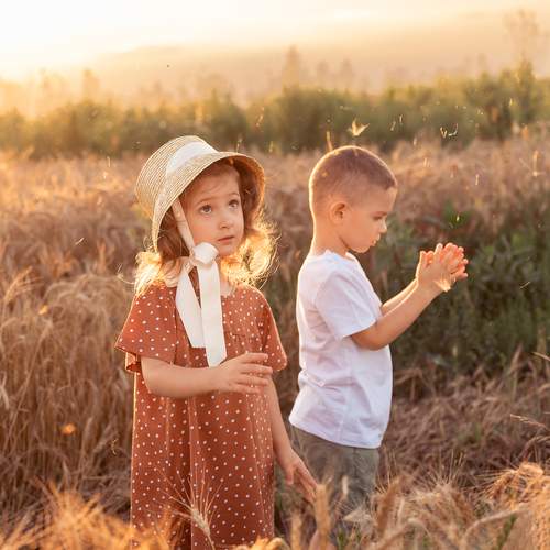 Photo #13034590