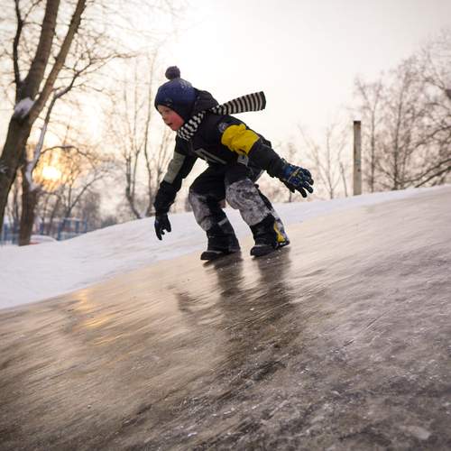 Photo #13034598