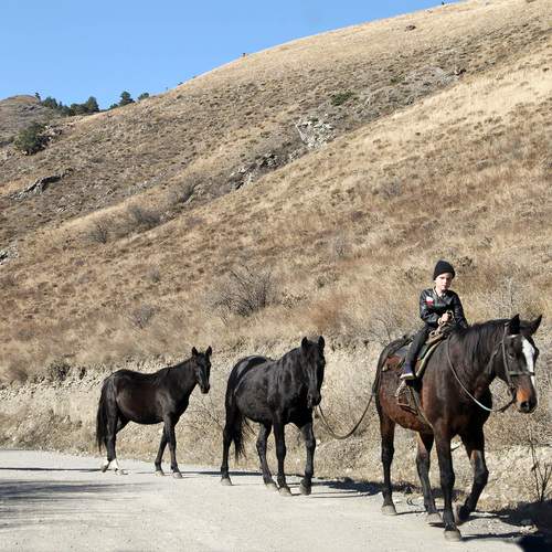 Photo #13034625