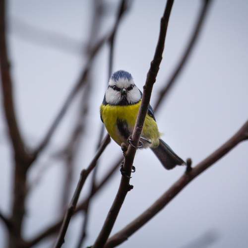 Photo #13034706