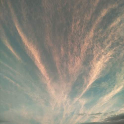 Photo #13034716