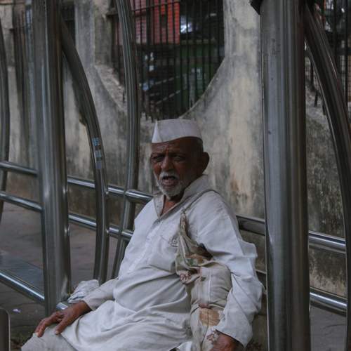 Photo #13034752