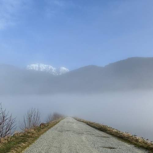 Photo #13034838