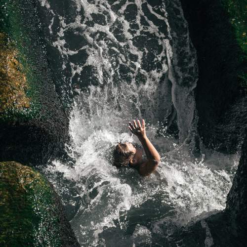 Photo #13034885