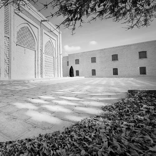 Where Silence Settled