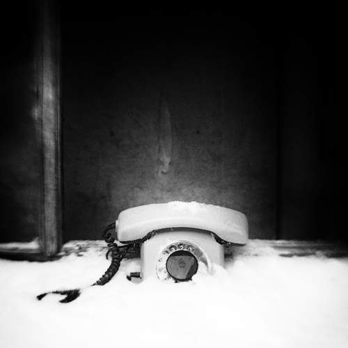 Photo #13035283